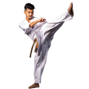 Budo-Nord Karatedräkt Kyokushin Jissen
