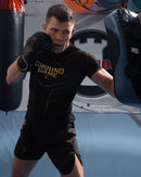 Nyrkkeilyhanskat - Ground Game - Gold 3.0