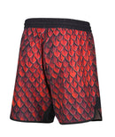 Shortsit - Tatami Fightwear - Recharge Grappling Shorts - Dragon